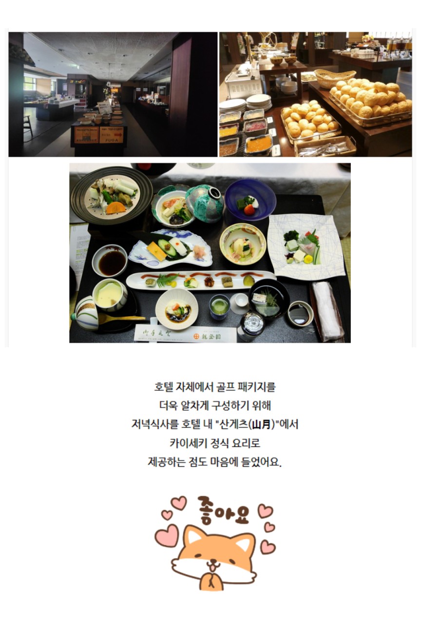 일본 사가